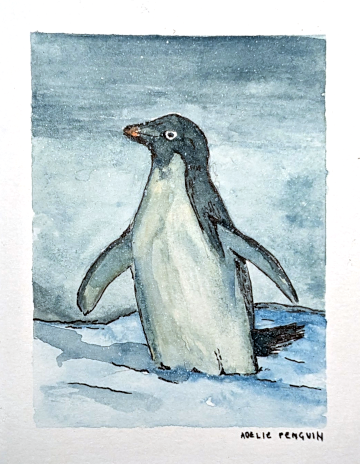A curious Adelie penguin on Rothera Point looking the other way.