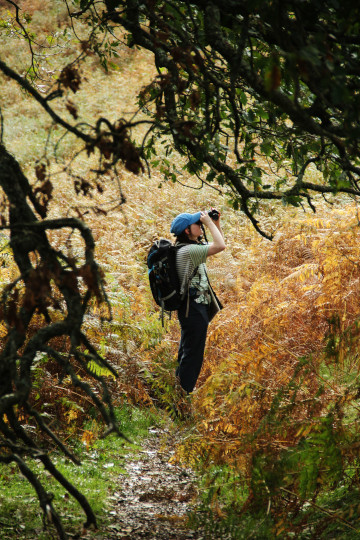 Faye looking back up towards High Rigg through her binoculars.