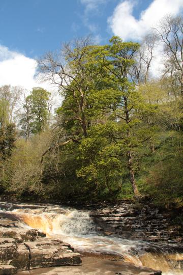 Sun breaking through the clouds on Stainforth Foss.